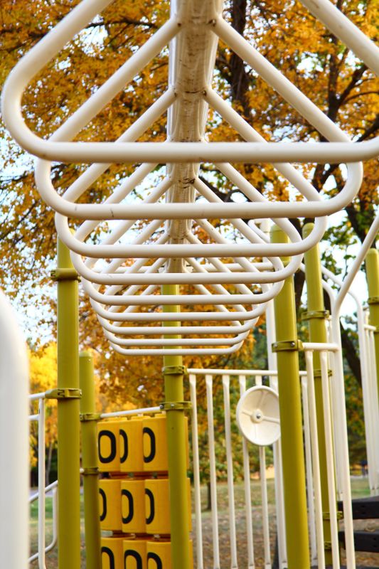 Jungle Gym Installation in Conroe, TX