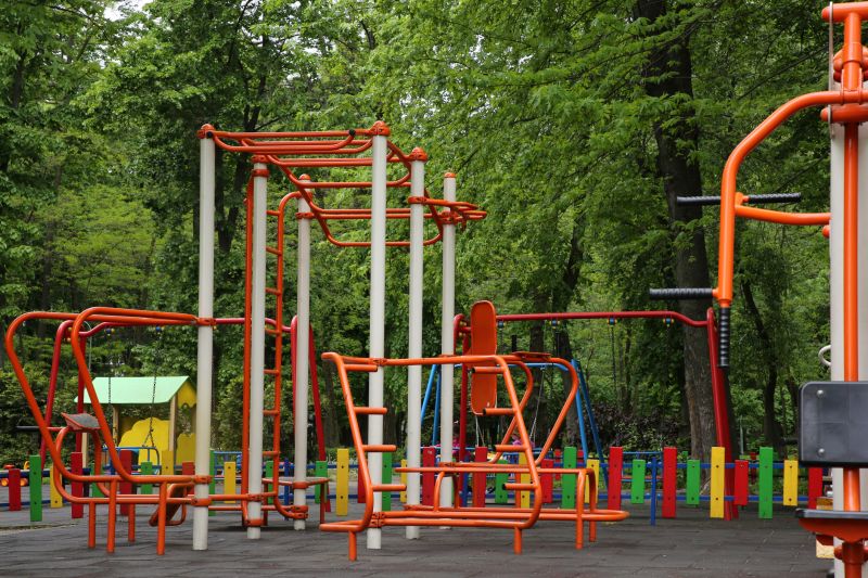 Jungle Gym Installation in Denver County, CO